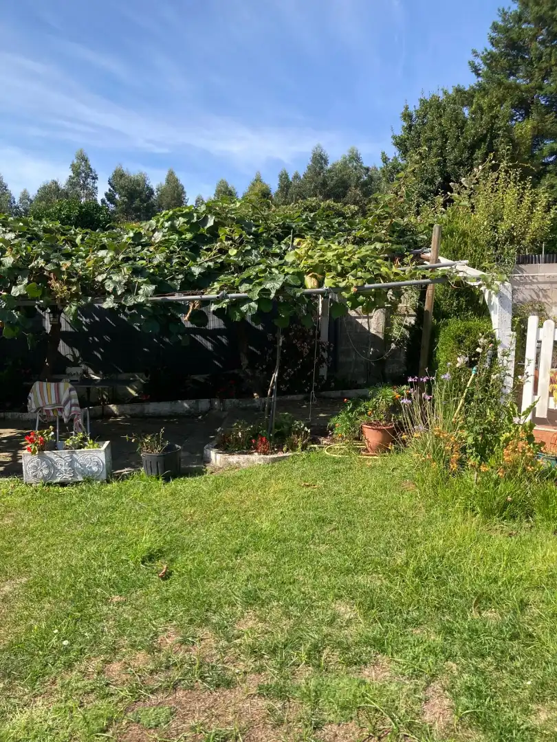Jardí de Casa o xalet en venda en Dorneda
