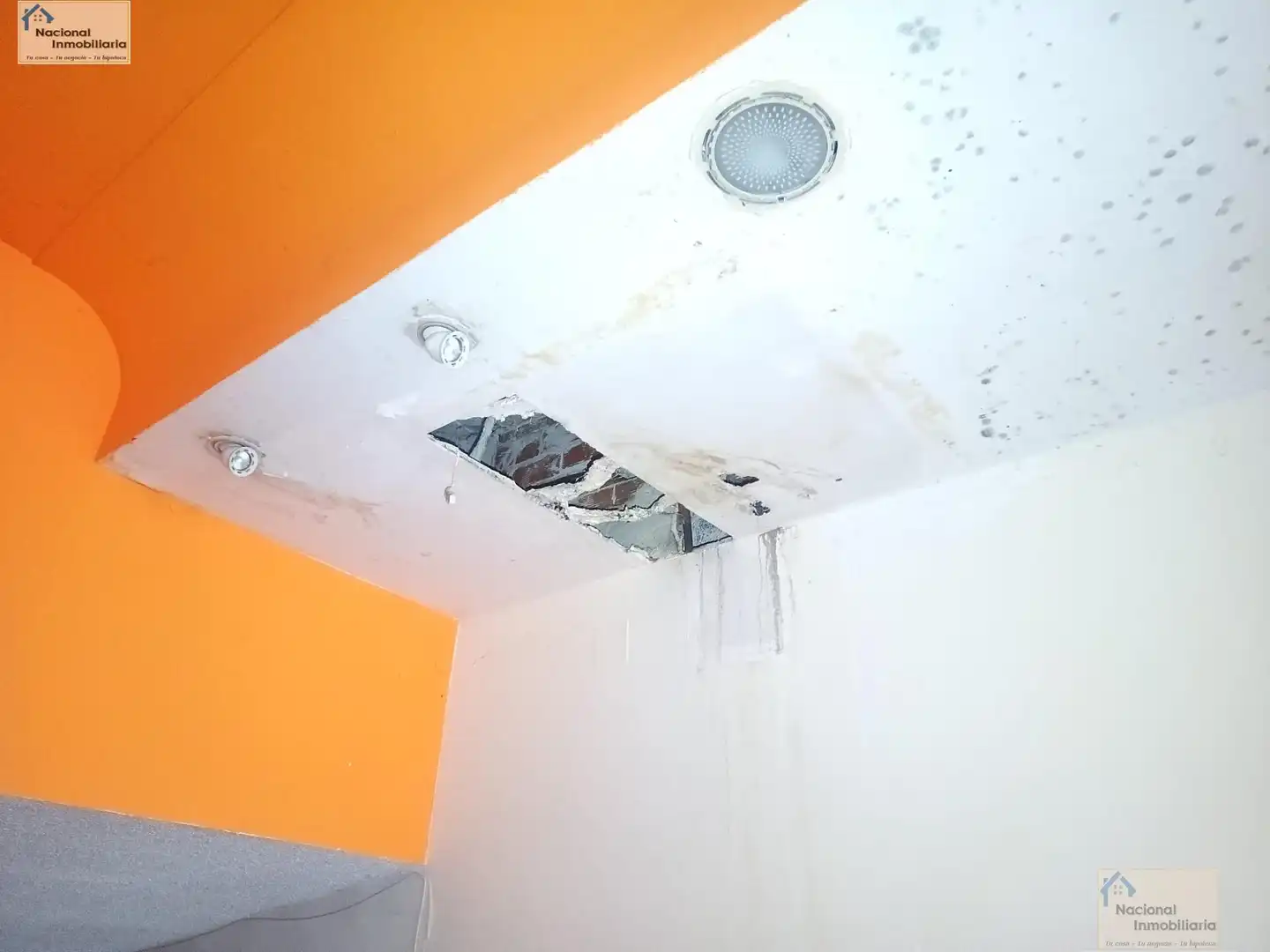 Local comercial en venta en Centro, imagen 11