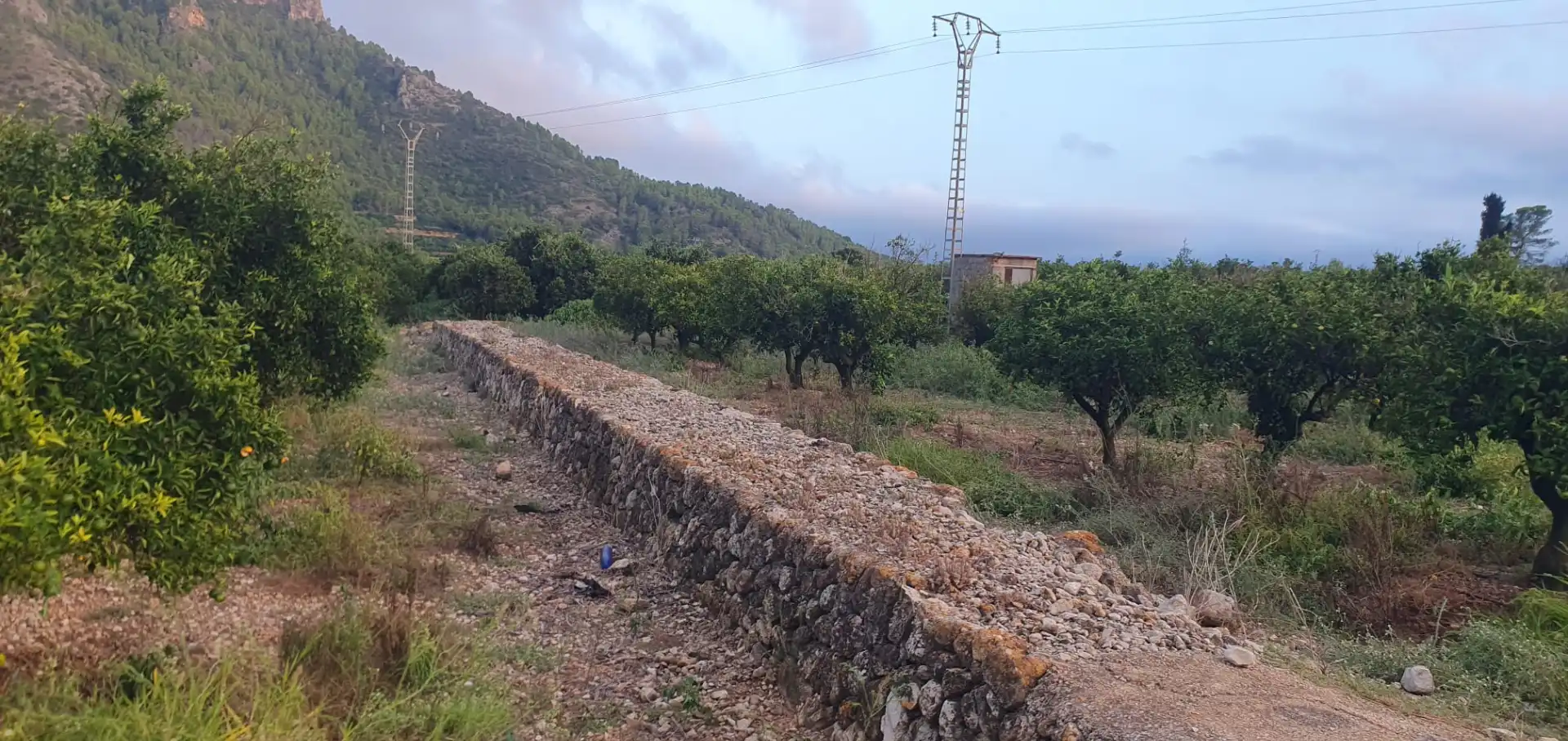 Terreny rústic en venda a Camí Sanchis, imagen 6
