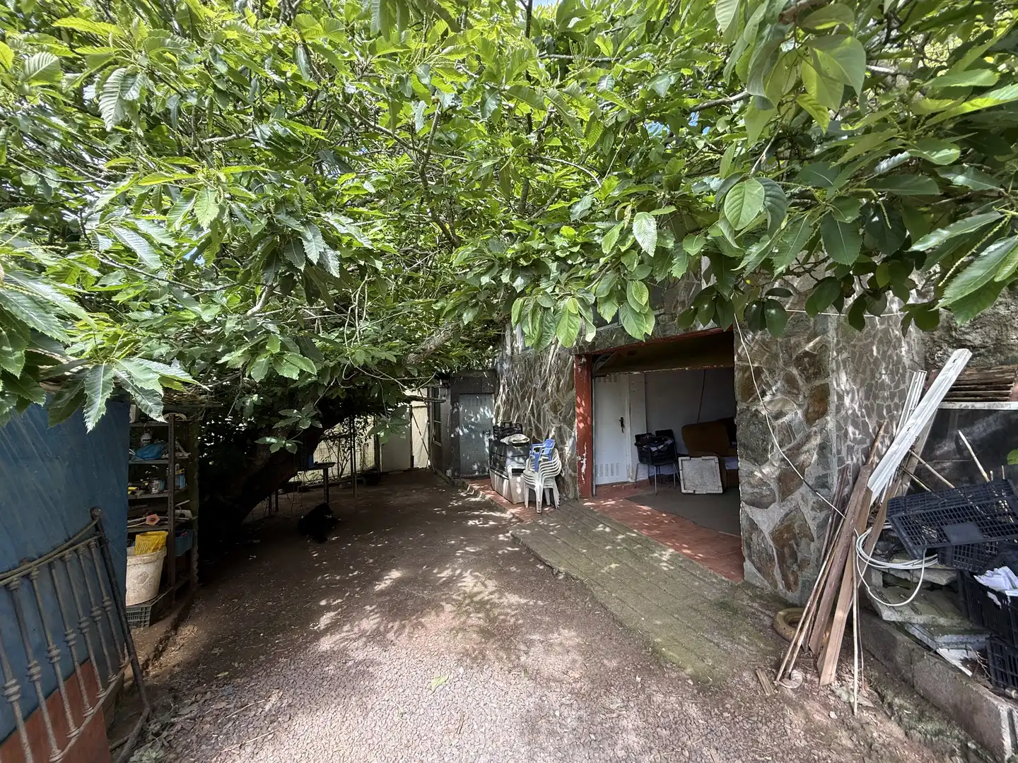Rural land for sale in Tegueste, imagen 9