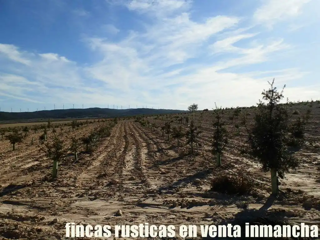 Rustikales Grundstück zum Verkauf in Jumilla, imagen 12
