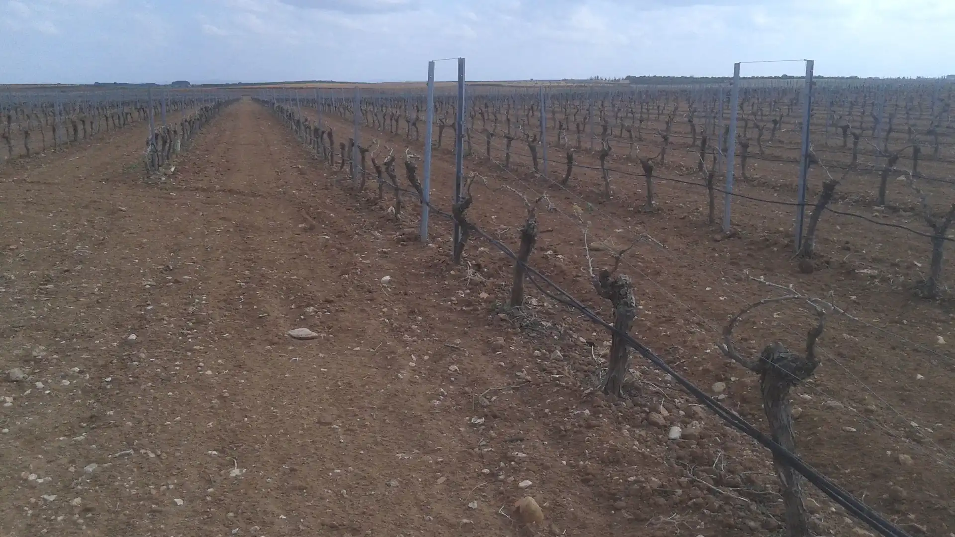 Terrenys i solars en venda a Las Mesas, imagen 20