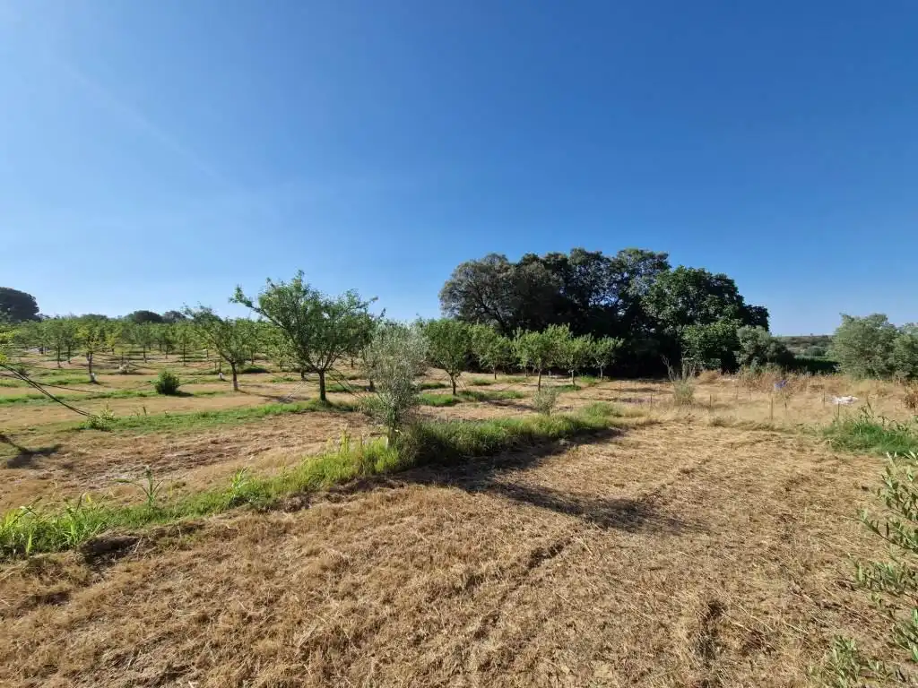 Terreno en venta en Binaced