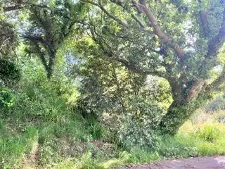 Lands and plots for sale in Santa María de Getxo, imagen 11