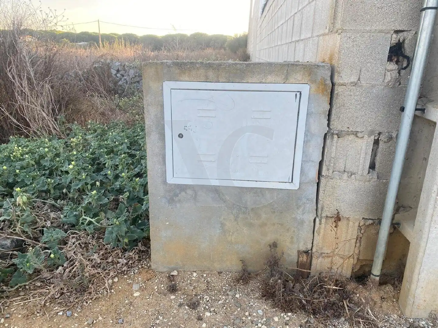 Exterior view of Residential for sale in Conil de la Frontera