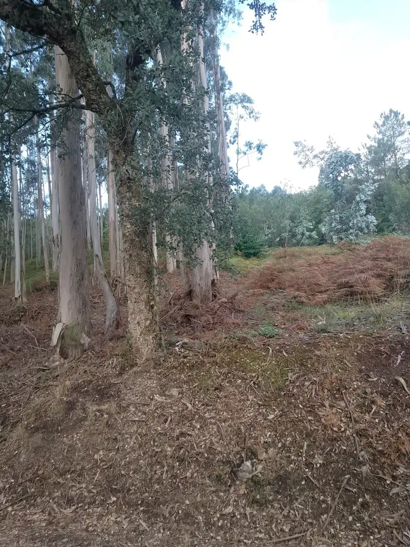 Terreno rustico in vendita a Meis, imagen 10