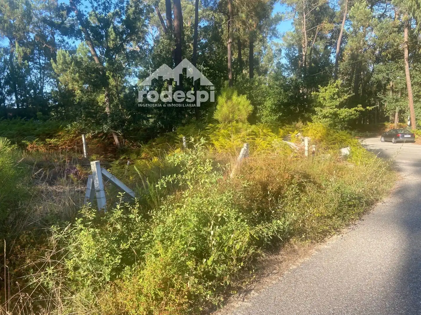 Terreny rústic en venda a Salvaterra de Miño, imagen 4