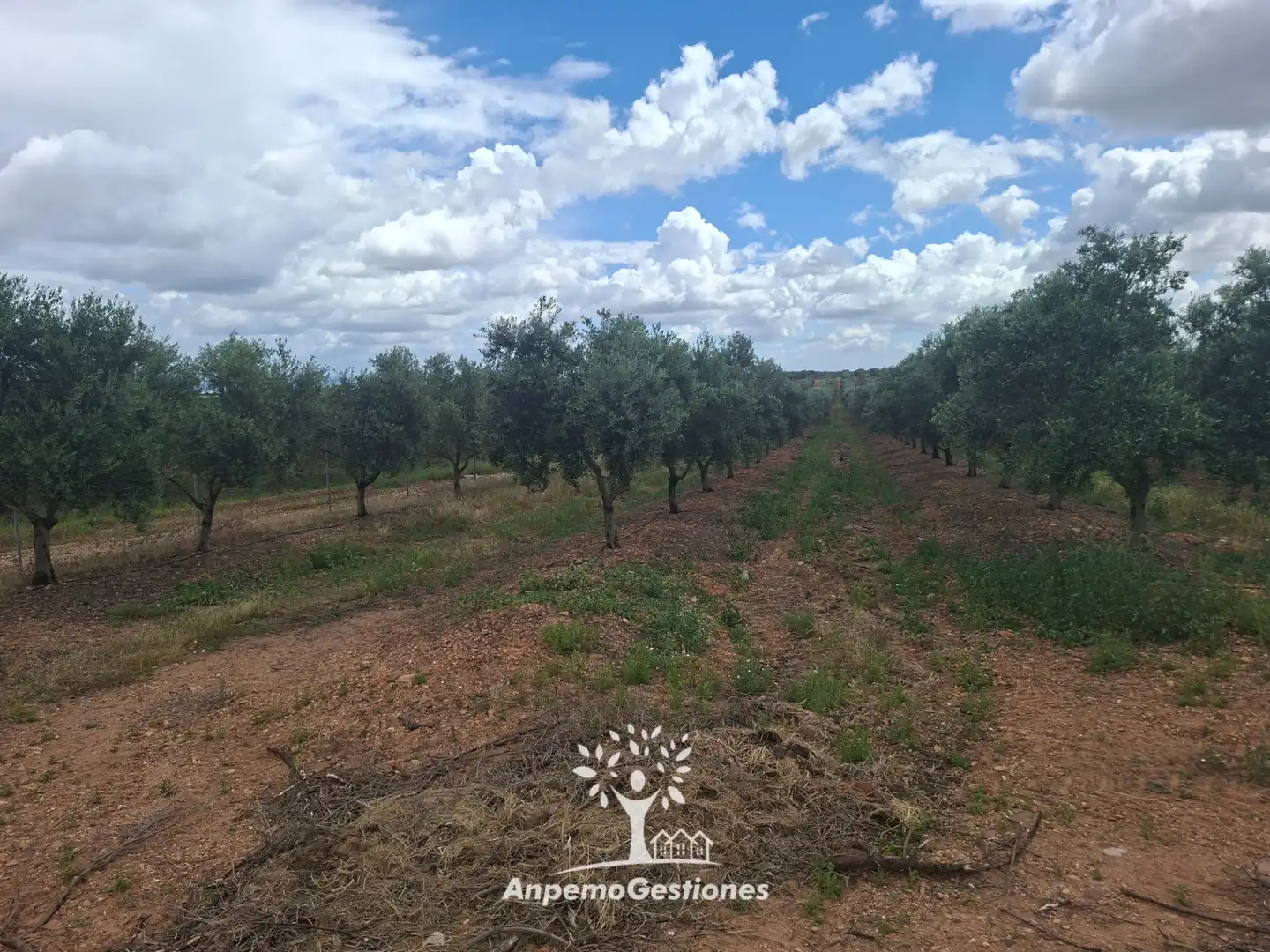 Terreno en venta en Palma del Río
