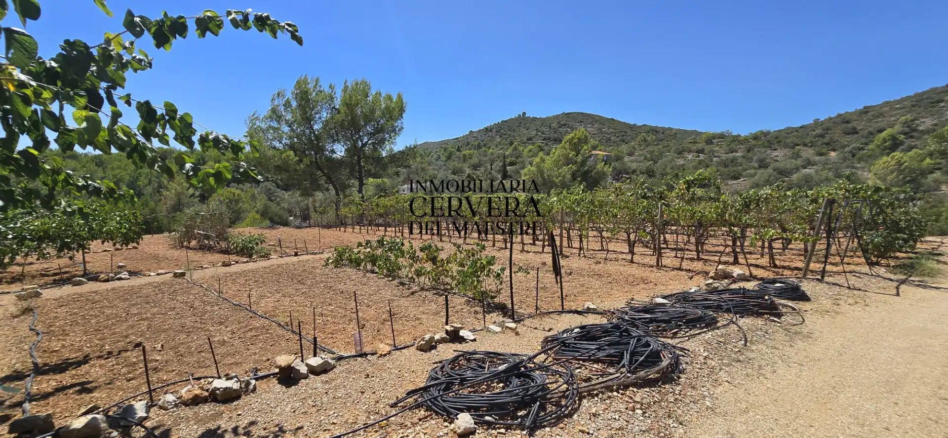 Rural land for sale in Vía Po Polígono 17 60, imagen 24