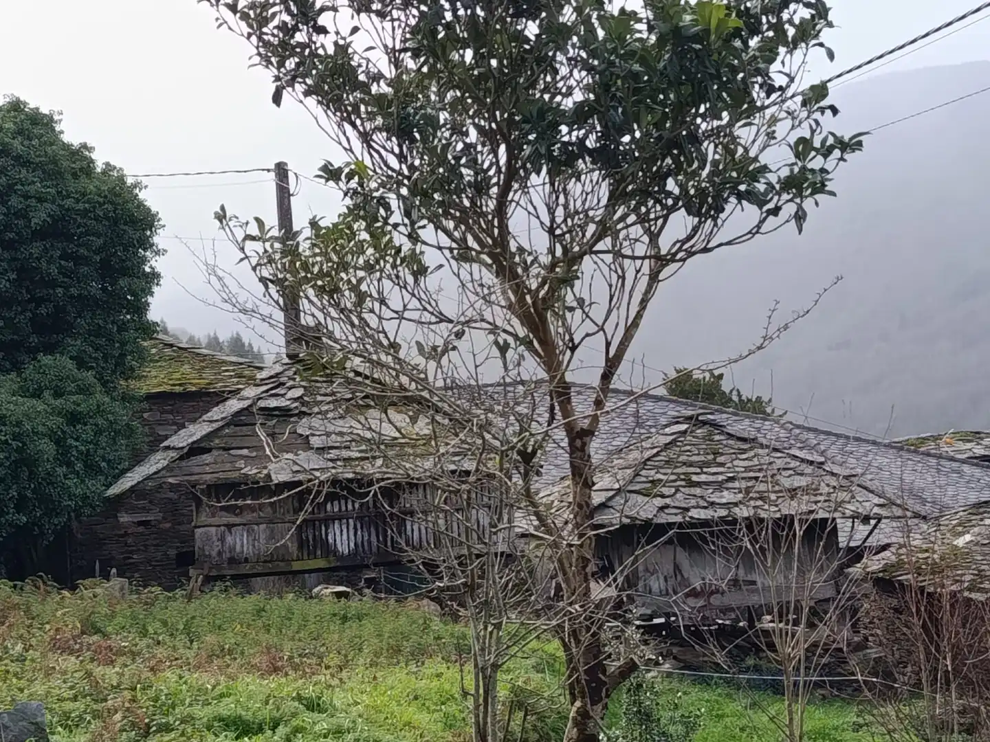 Vista exterior de Finca rústica en venda en A Pontenova   amb Jardí privat, Terrassa i Balcó