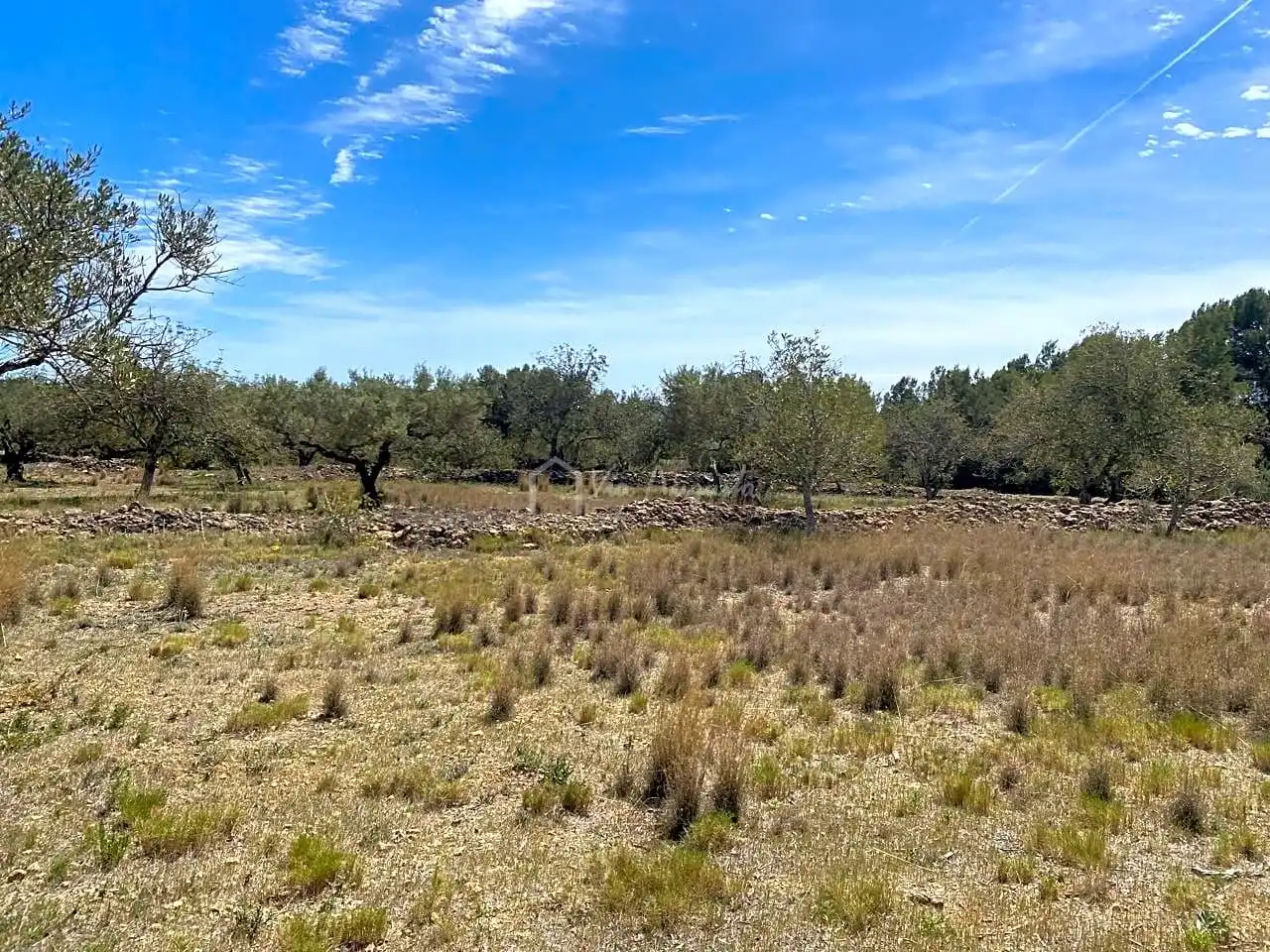 Terreno rustico in vendita a Mas de Baralluga, imagen 22