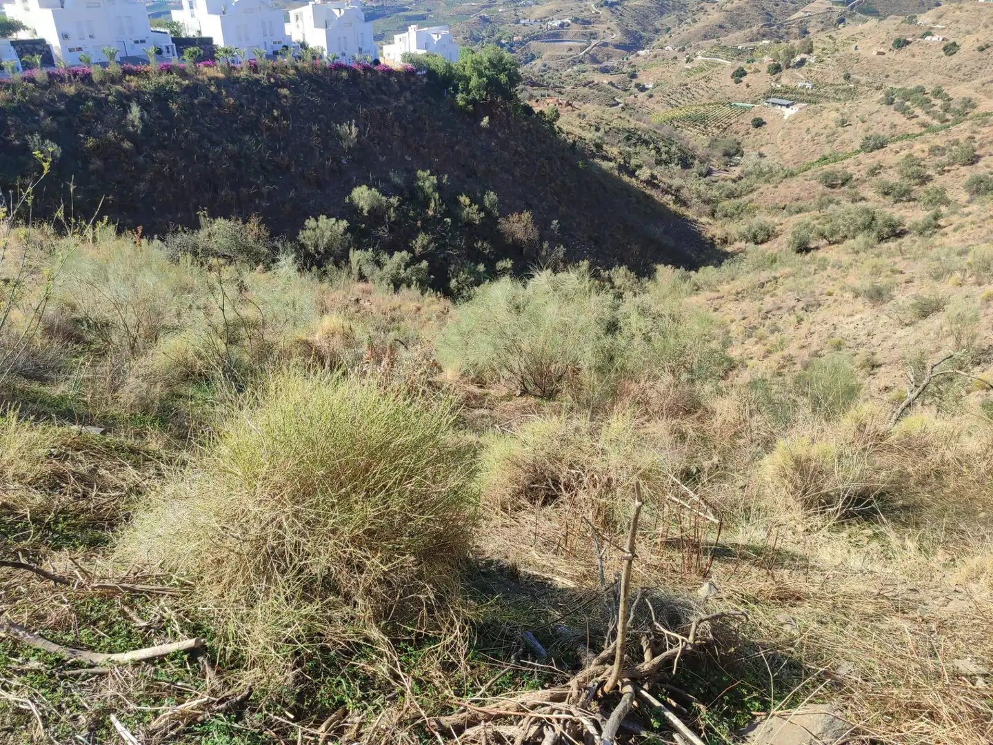 Terreny en venda en Algarrobo