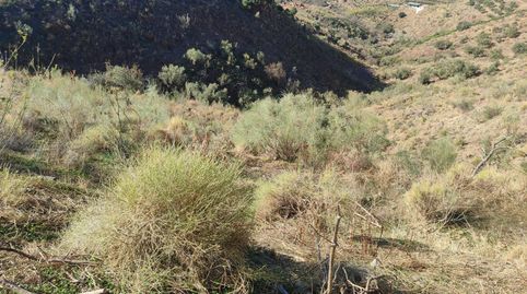Foto 5 de Terreno en venta en Calle Fuente Ariza, 15a, Algarrobo pueblo, Algarrobo