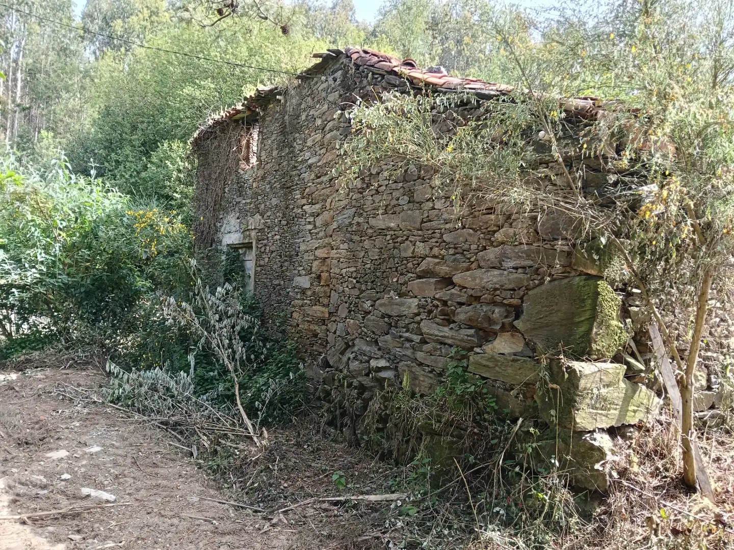 Maison avec jardin à vendre à Cesuras, imagen 7