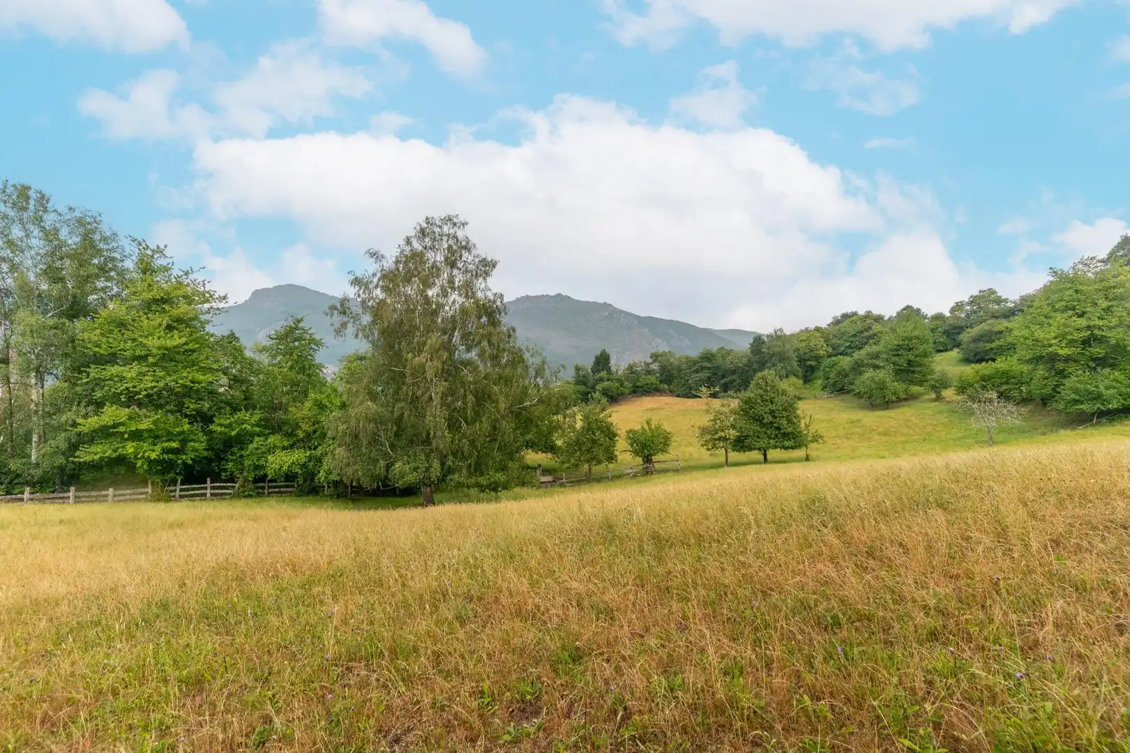 Finca rústica en venta en Sobrescobio con Jardín privado, Terraza y Amueblado