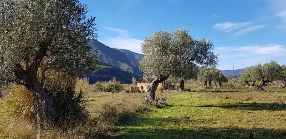 Residential land for sale in Órgiva, imagen 3