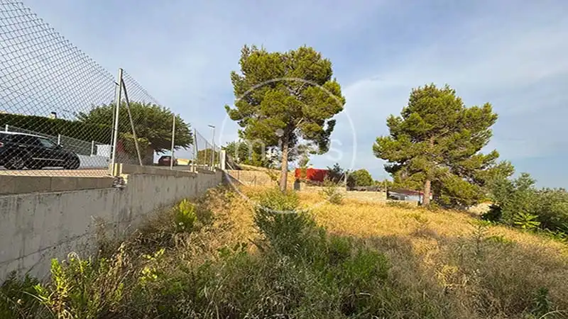 Rural land for sale in Urbanización Altury 0, imagen 4