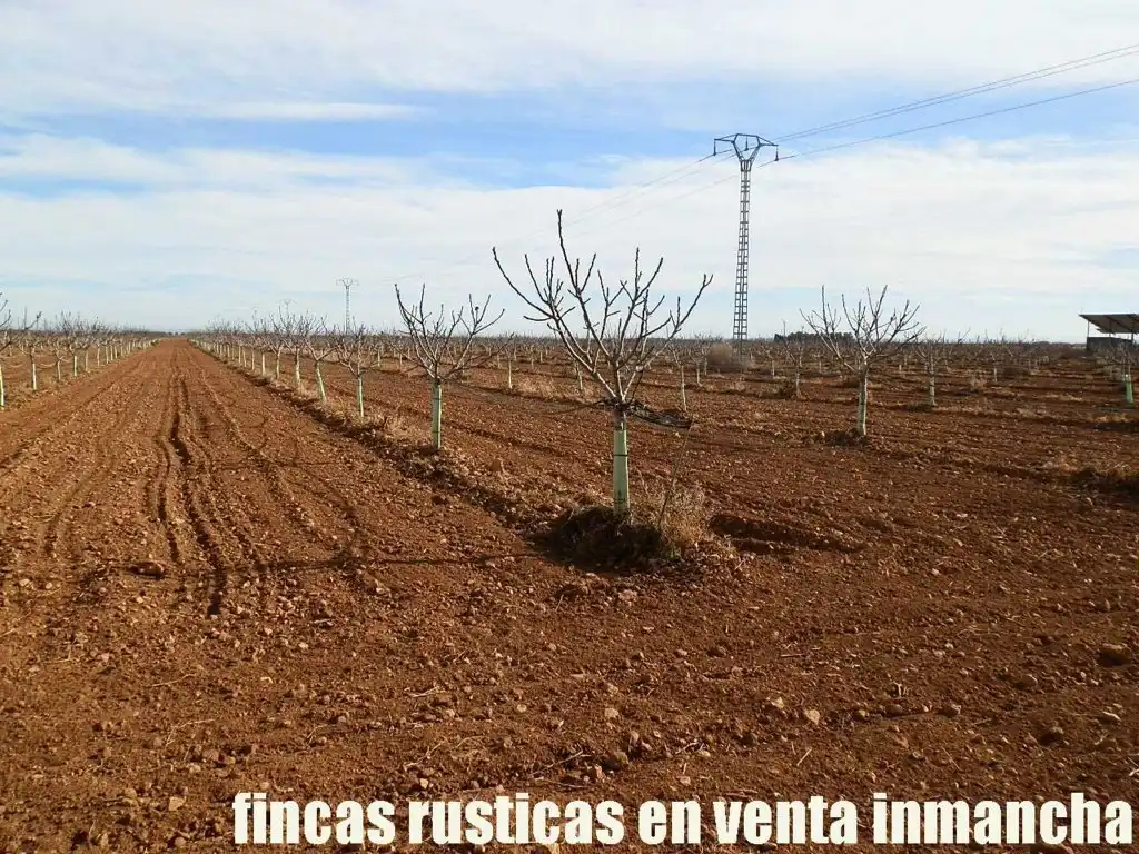 Terreno en venta en Albacete