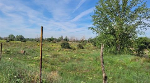 Foto 4 de Residencial en venda a 1 Parcela , Coreses, Zamora