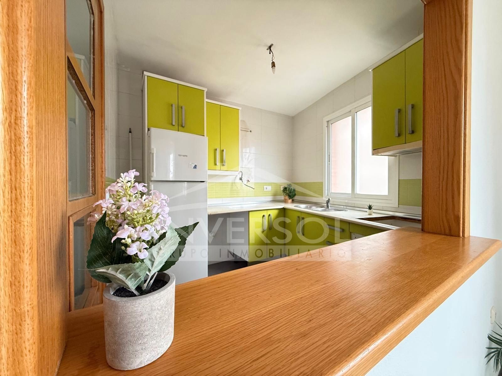 Kitchen of Flat for sale in Roquetas de Mar