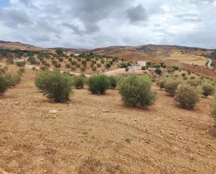 Land for sale in Almogía