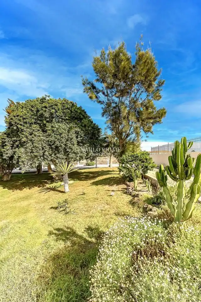 Bajo con piscina en venta en Calle Hercules, imagen 28
