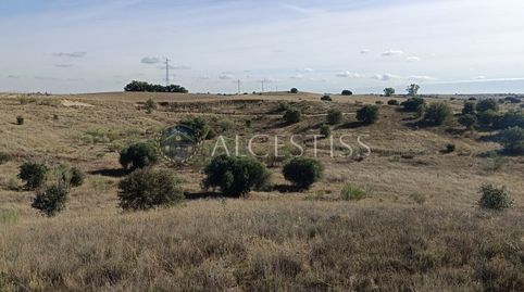 Photo 3 of Land for sale in Méntrida, Toledo