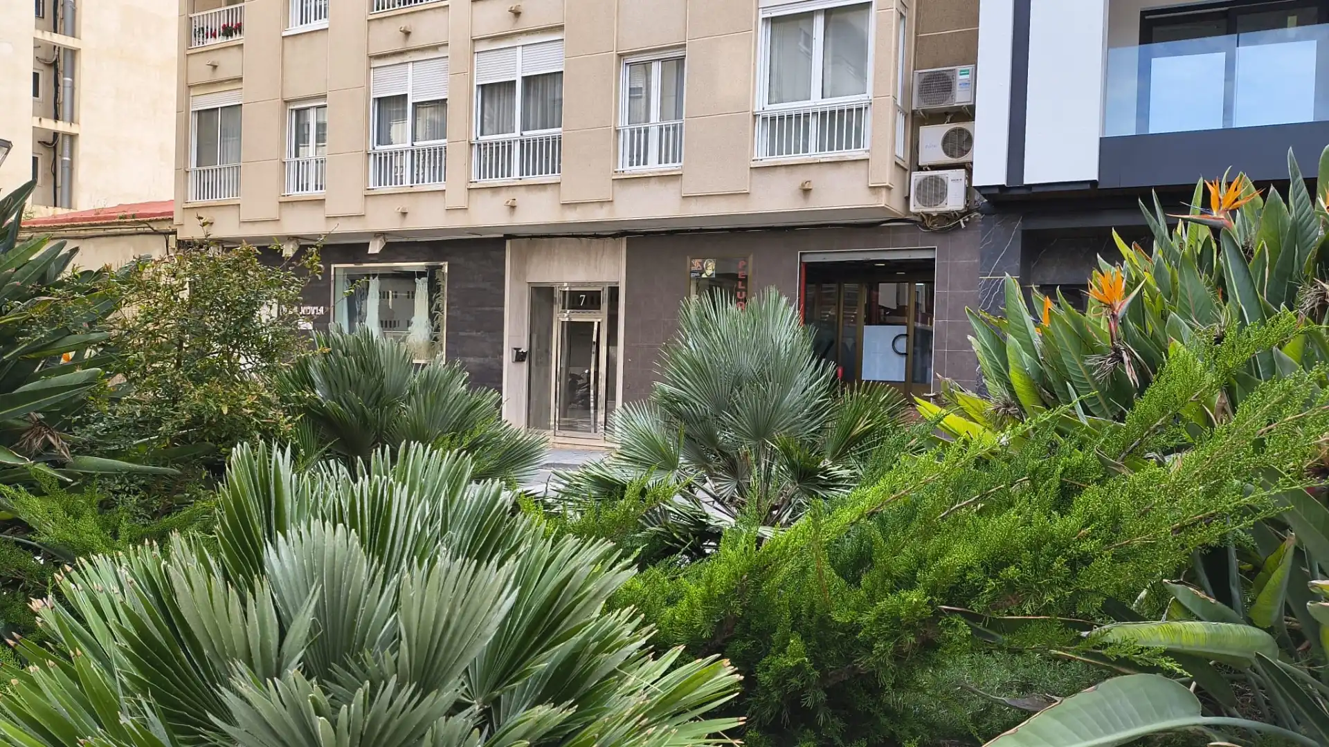 Vista exterior de Apartament en venda en Torrevieja amb Aire condicionat i Terrassa