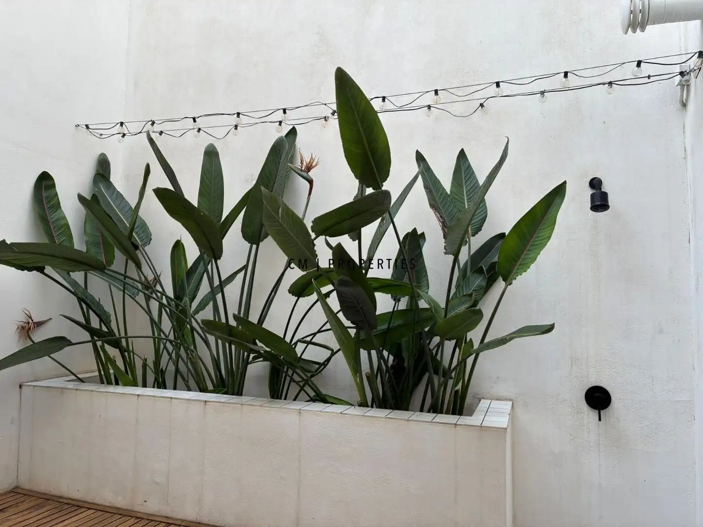 Jardín de Piso de alquiler en Valencia con Aire acondicionado, Calefacción y Jardín privado