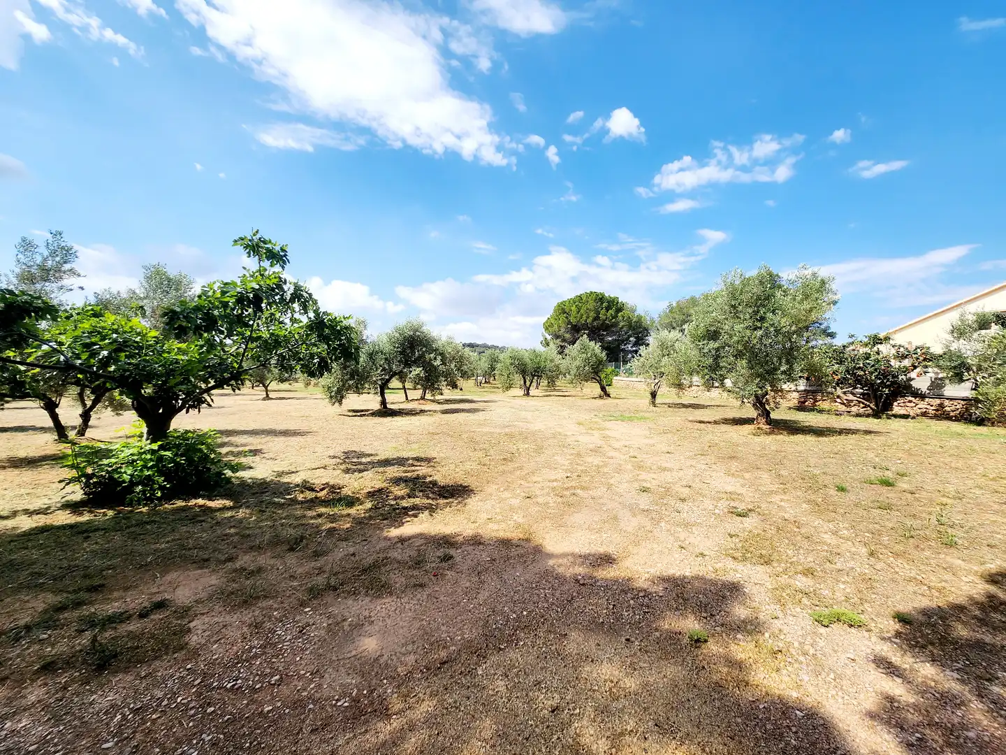Finca rústica de alquiler con opción a compra en Esparreguera con Calefacción, Jardín privado y Terraza