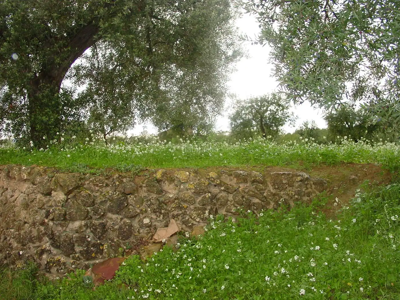 Rustikales Grundstück zum Verkauf in Avinguda Vilanova 4, imagen 12