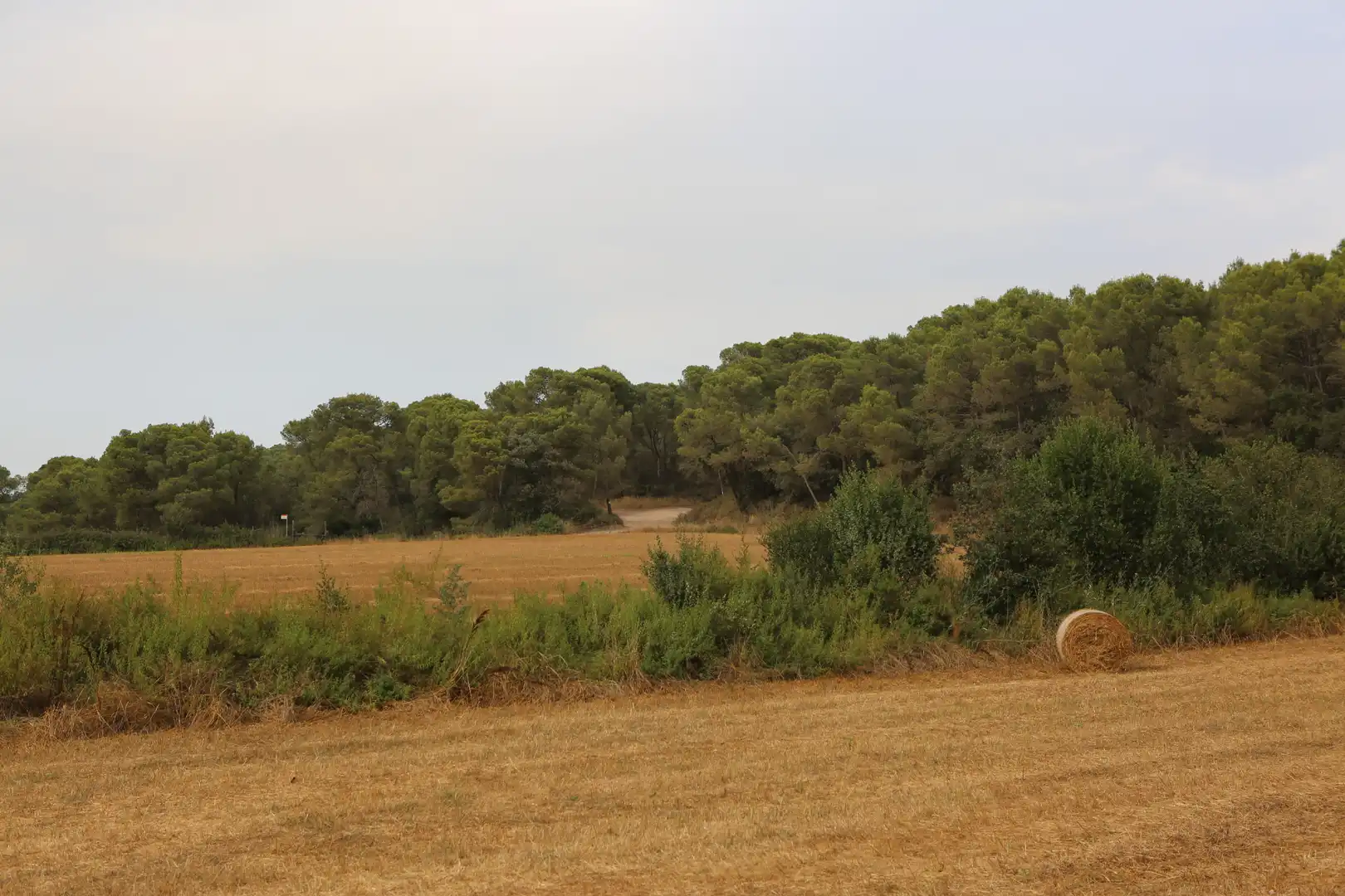 Finca rústica en venda en Begur amb Jardí privat