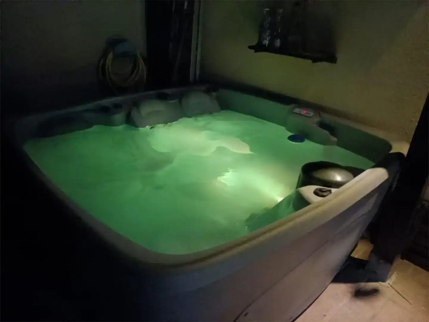 Piscina de Casa o xalet en venda en Alcañizo amb Aire condicionat, Jardí privat i Moblat