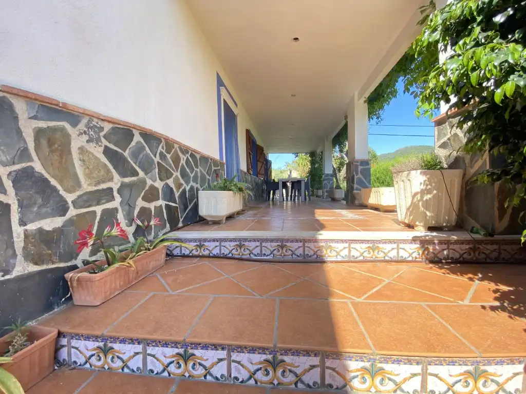 Exterior view of Houses for sale in Borriol, Castellón