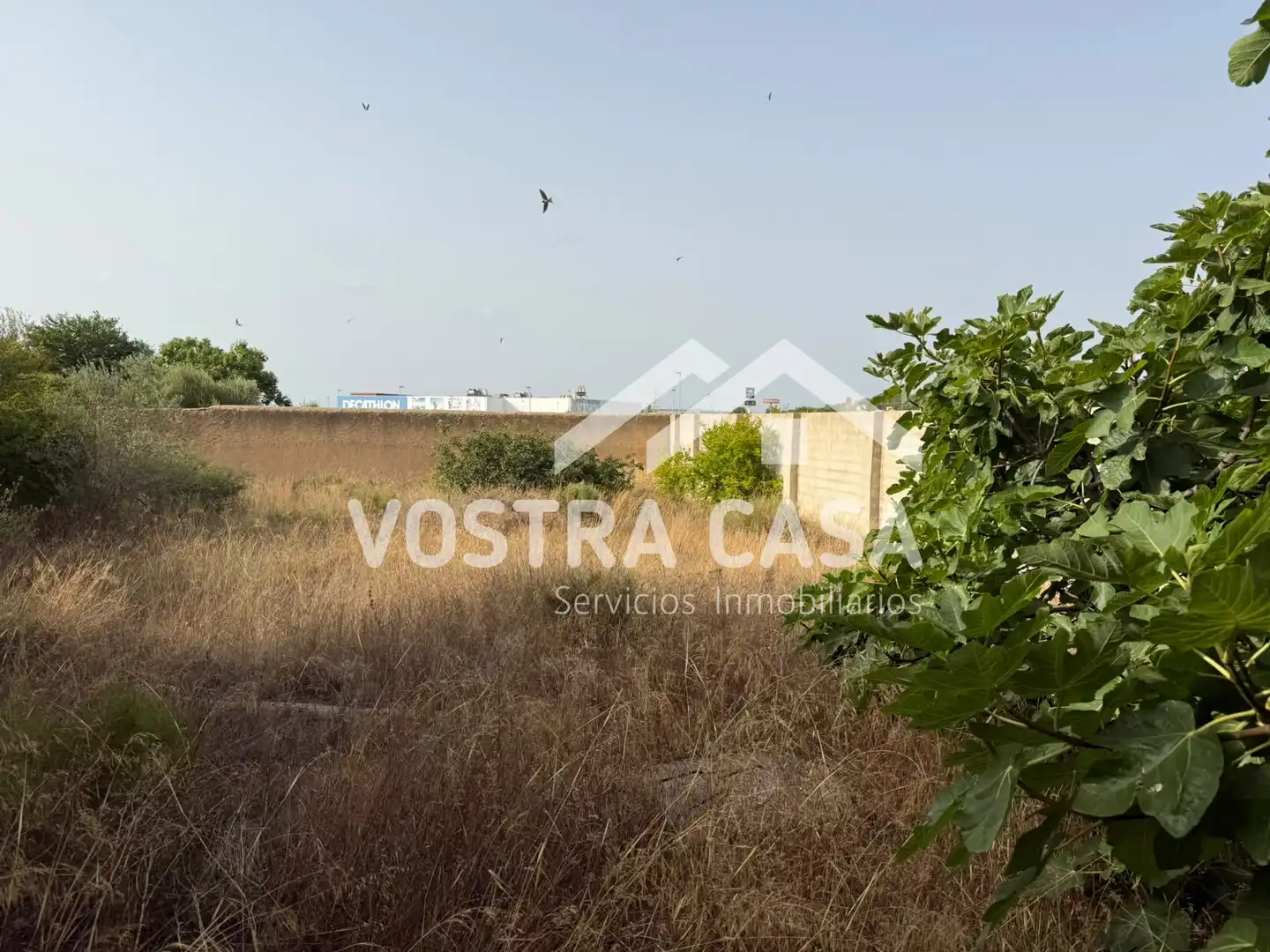 Terreno en venta en Torrent
