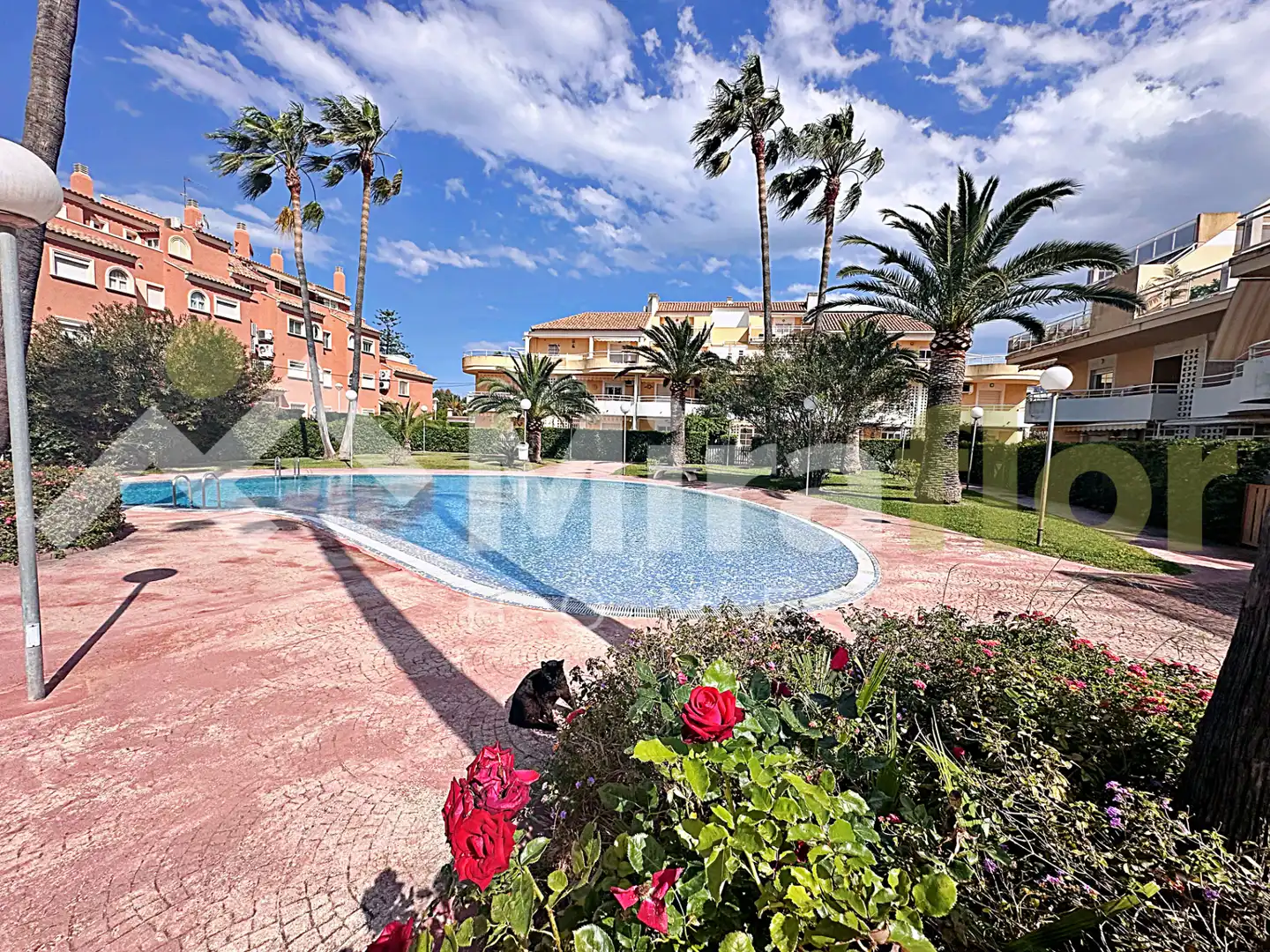 Apartament amb terrassa en venda a Las Marinas / Les Marines, imagen 31
