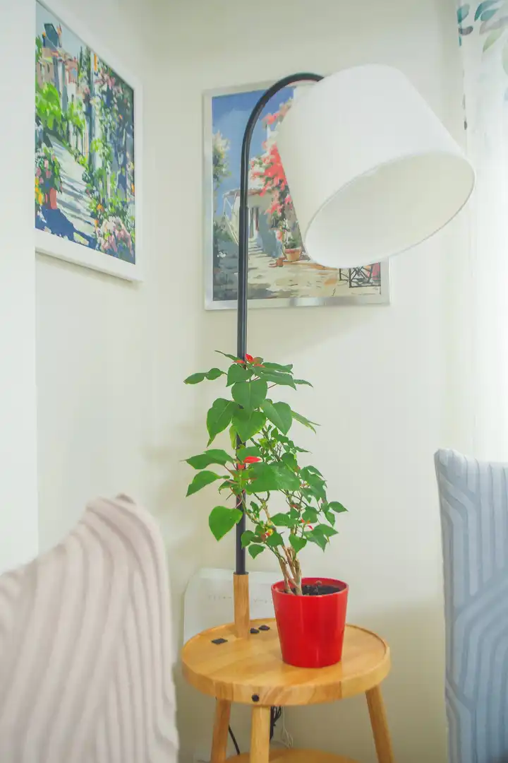 Flat for sale in Sagunto / Sagunt  with Air Conditioner, Storage room and Furnished