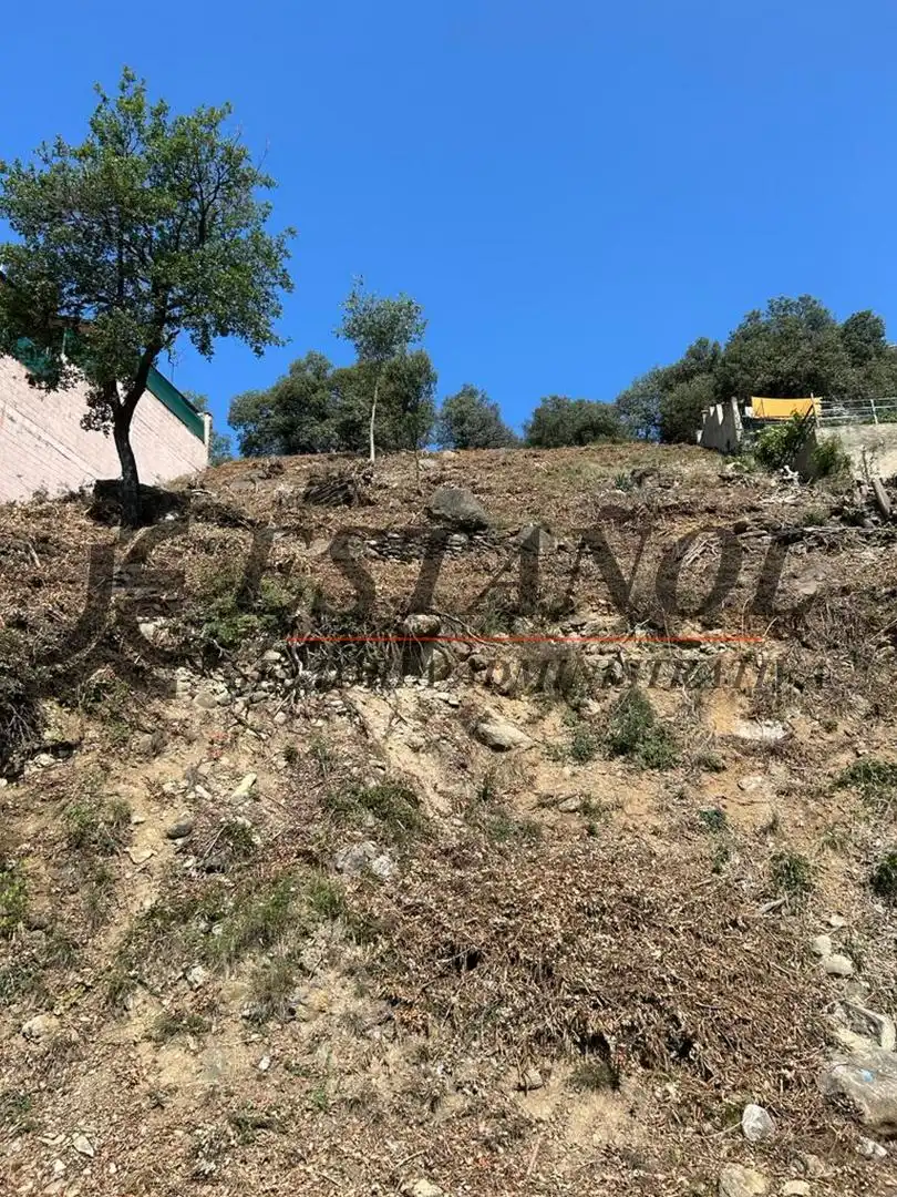 Wohnbaugrundstück zum Verkauf in Montferrer i Castellbò, imagen 8