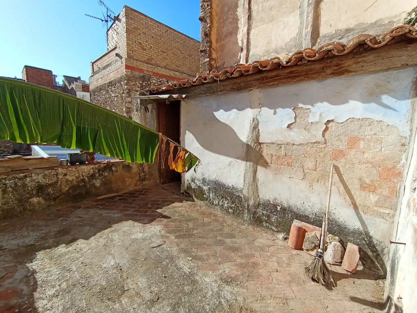 Vista exterior de Casa o chalet en venta en Alcanar