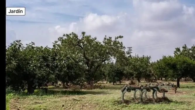 Casa o xalet en venda en Fuente Álamo de Murcia amb Jardí privat i Traster