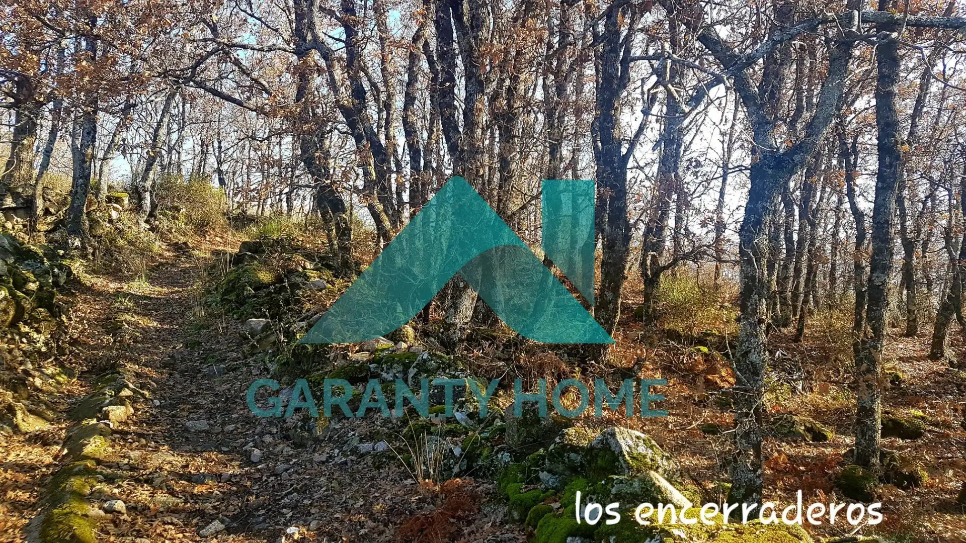 Finca rústica en venta en Aldeanueva de la Vera