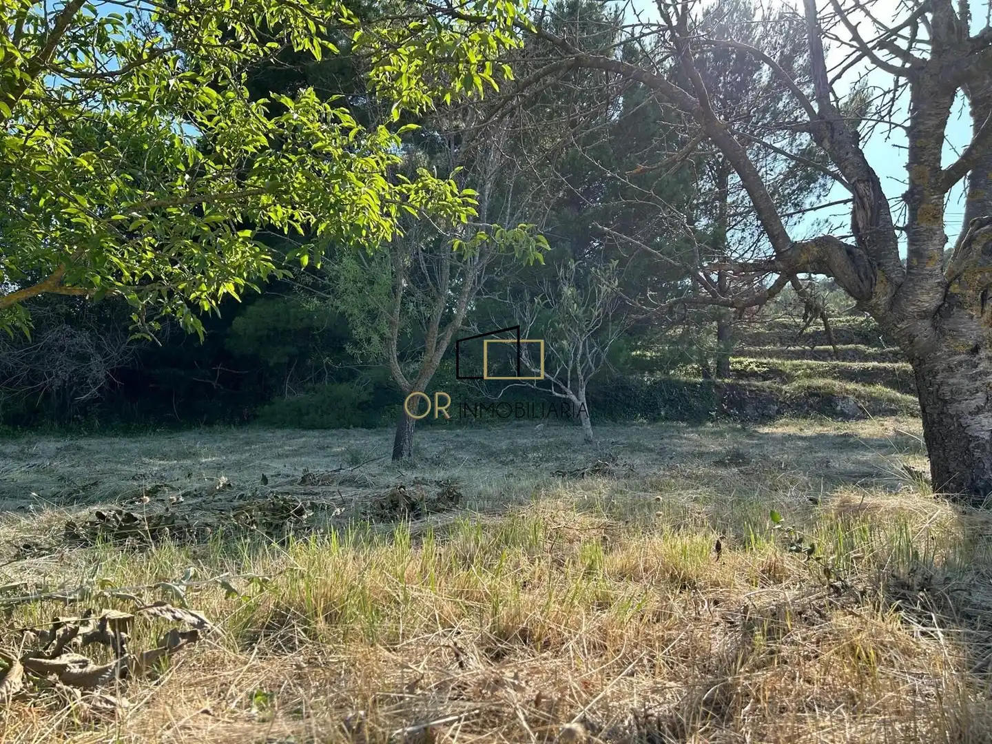 Terreno residencial en venta en Pontons, imagen 12