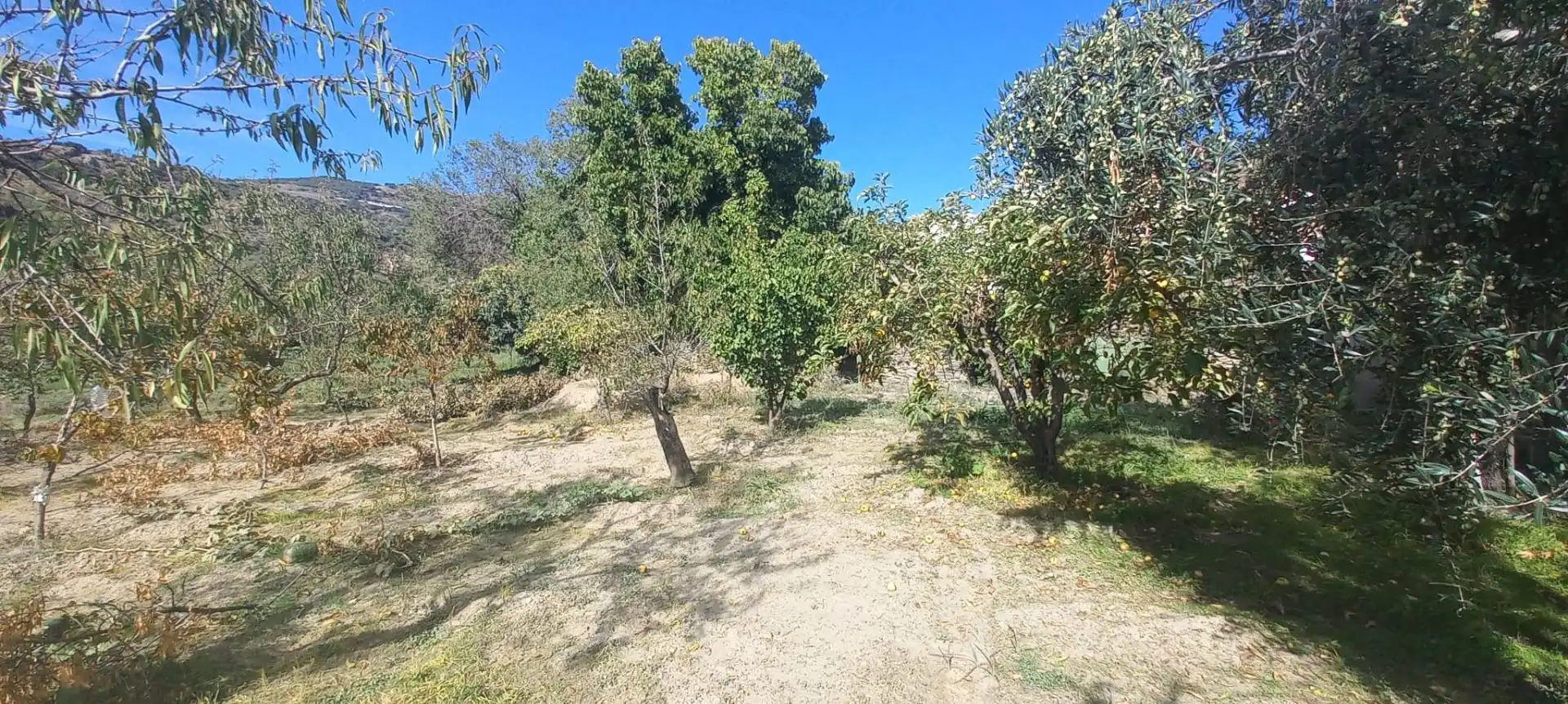 Casa rústica amb terrassa en venda a Cádiar, imagen 34