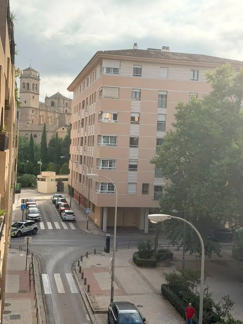 Pis amb terrassa en venda a Centro