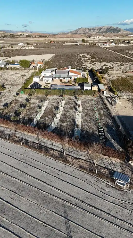 Finca rústica en venta en Villena con Piscina