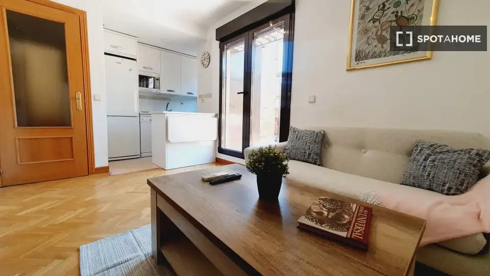 Appartamento in affitto a Moncloa - Aravaca, imagen 9