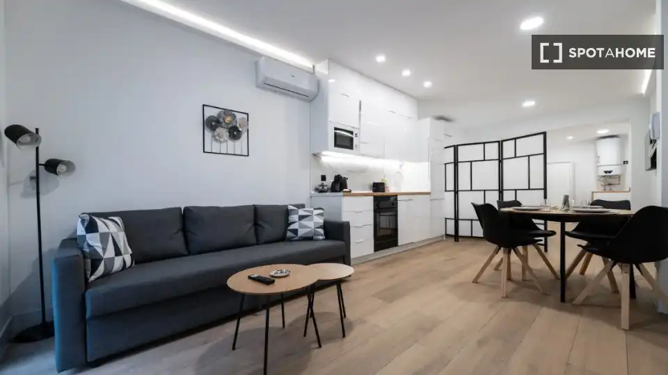 Sala de estar de Piso de alquiler en Madrid con Aire acondicionado, Calefacción y Amueblado