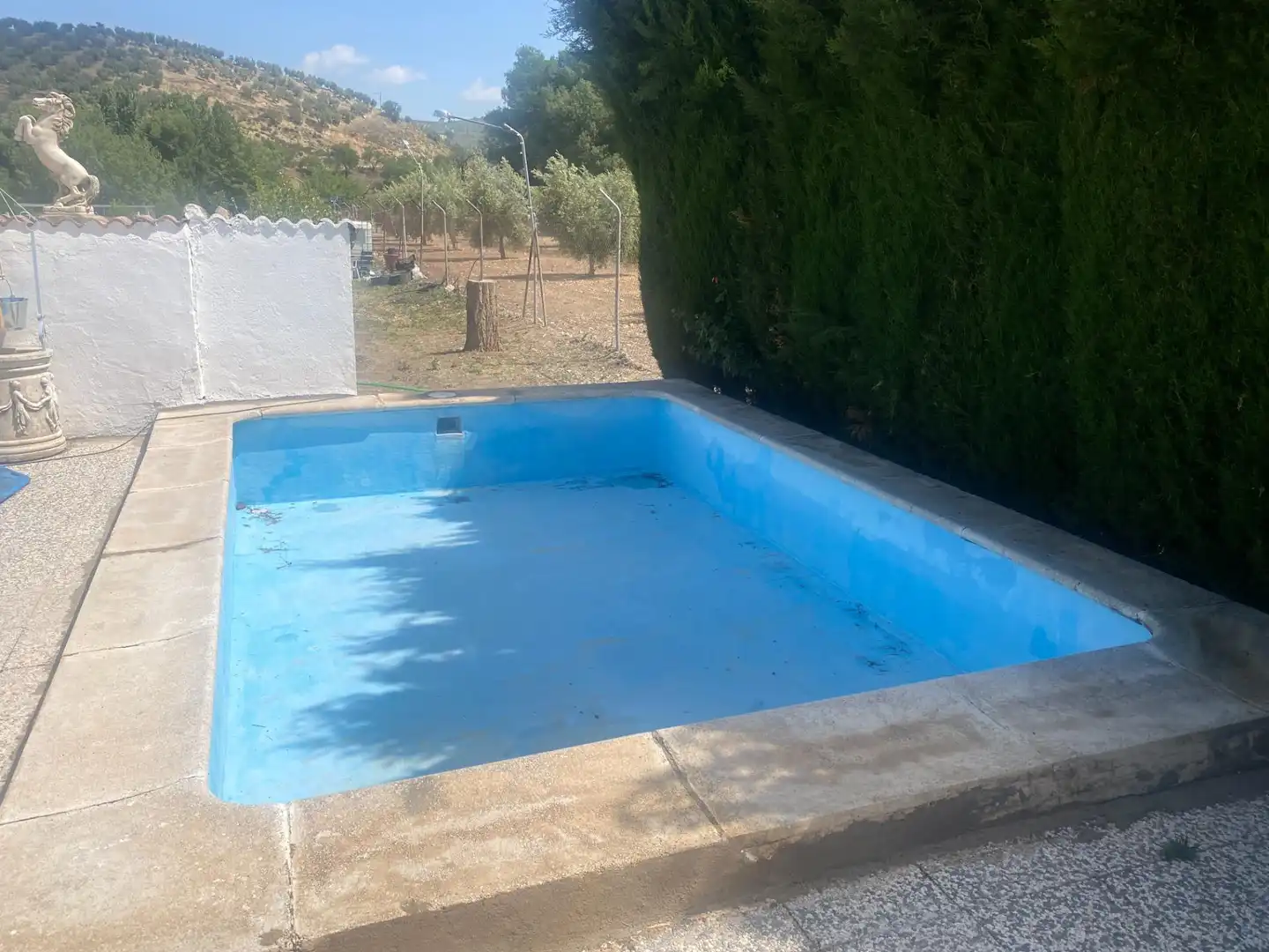 Casa rustica con piscina in vendita a Carretera Alcala km 12, imagen 22