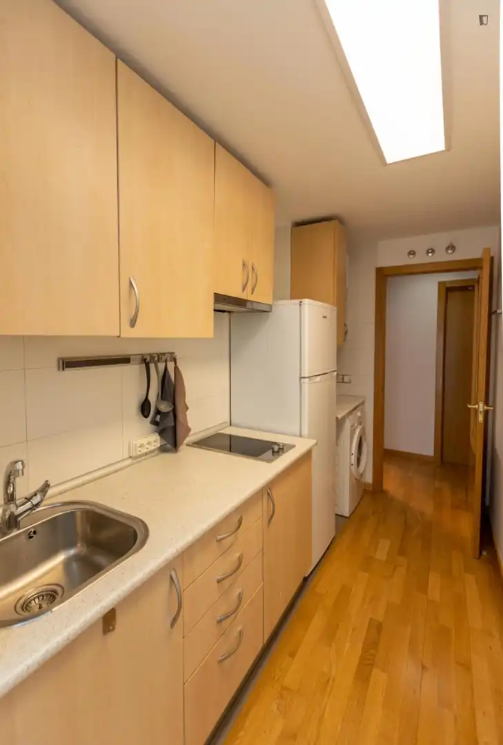 Wohnung zur Miete in Madrid, Madrid
