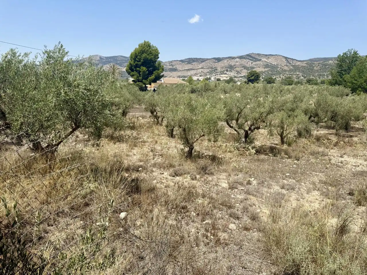 Country house with garden for sale in Foya Alta, imagen 12